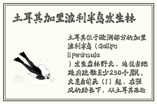 滚床单视频大全叫不停